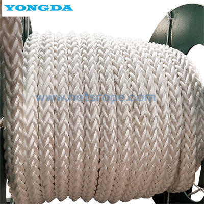 Cordas trançadas de nylon da corda da resistência de desgaste 12-Strand Polymide